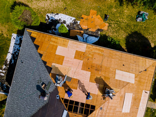 Best Metal Roofing Contractor  in Wentworth, NC